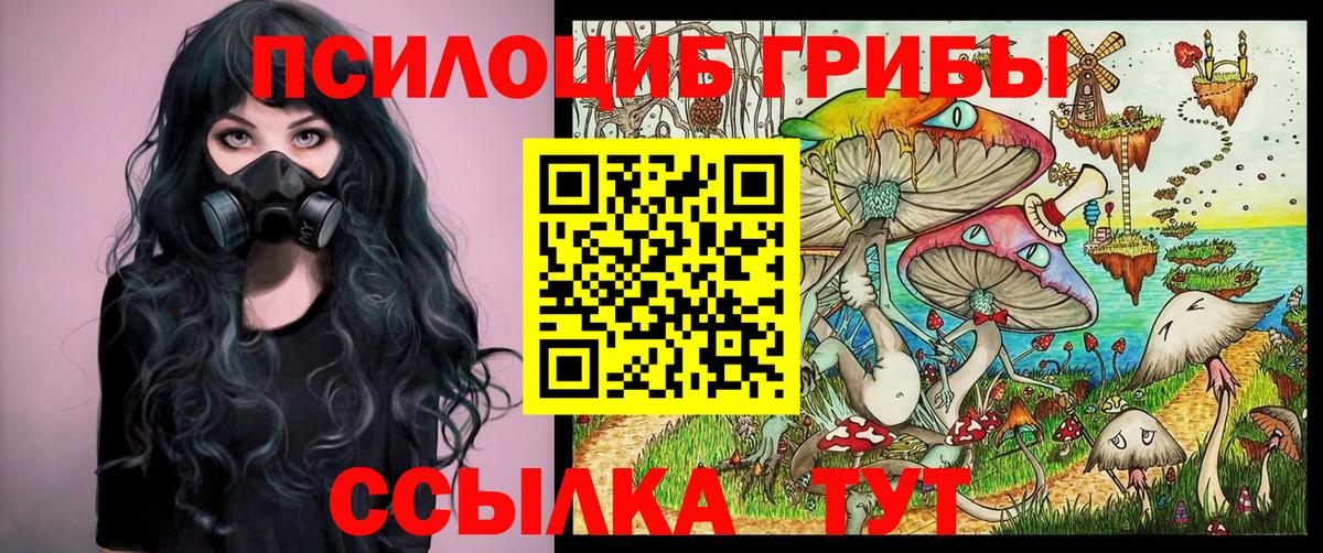 Златоуст  Галлюциногенные грибы Psilocybe  Вход с VPN  Псилоцибиновые грибы Cubensis 